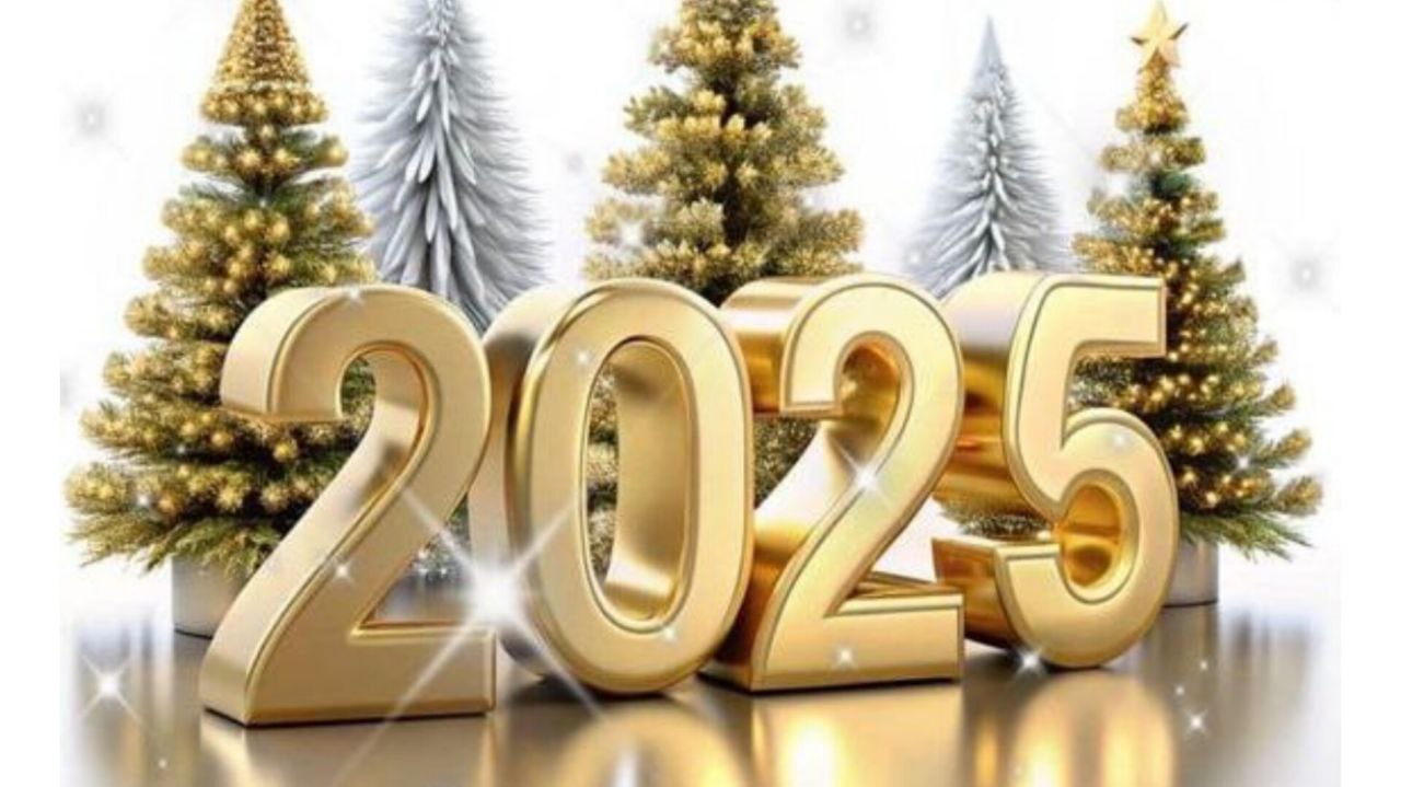 Дорогие друзья, поздравляем с Новым 2025 годом!